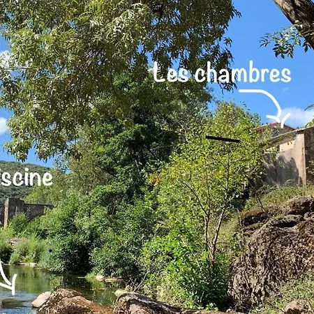 Le Moulin De Mirande