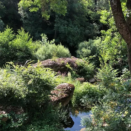Дом отдыха Le Moulin De Mirande La Tour-sur-Orb