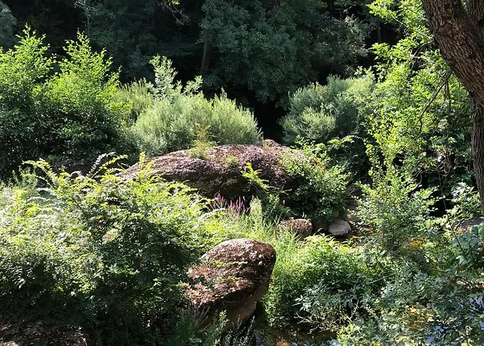 Dom wakacyjny Le Moulin De Mirande La Tour-sur-Orb